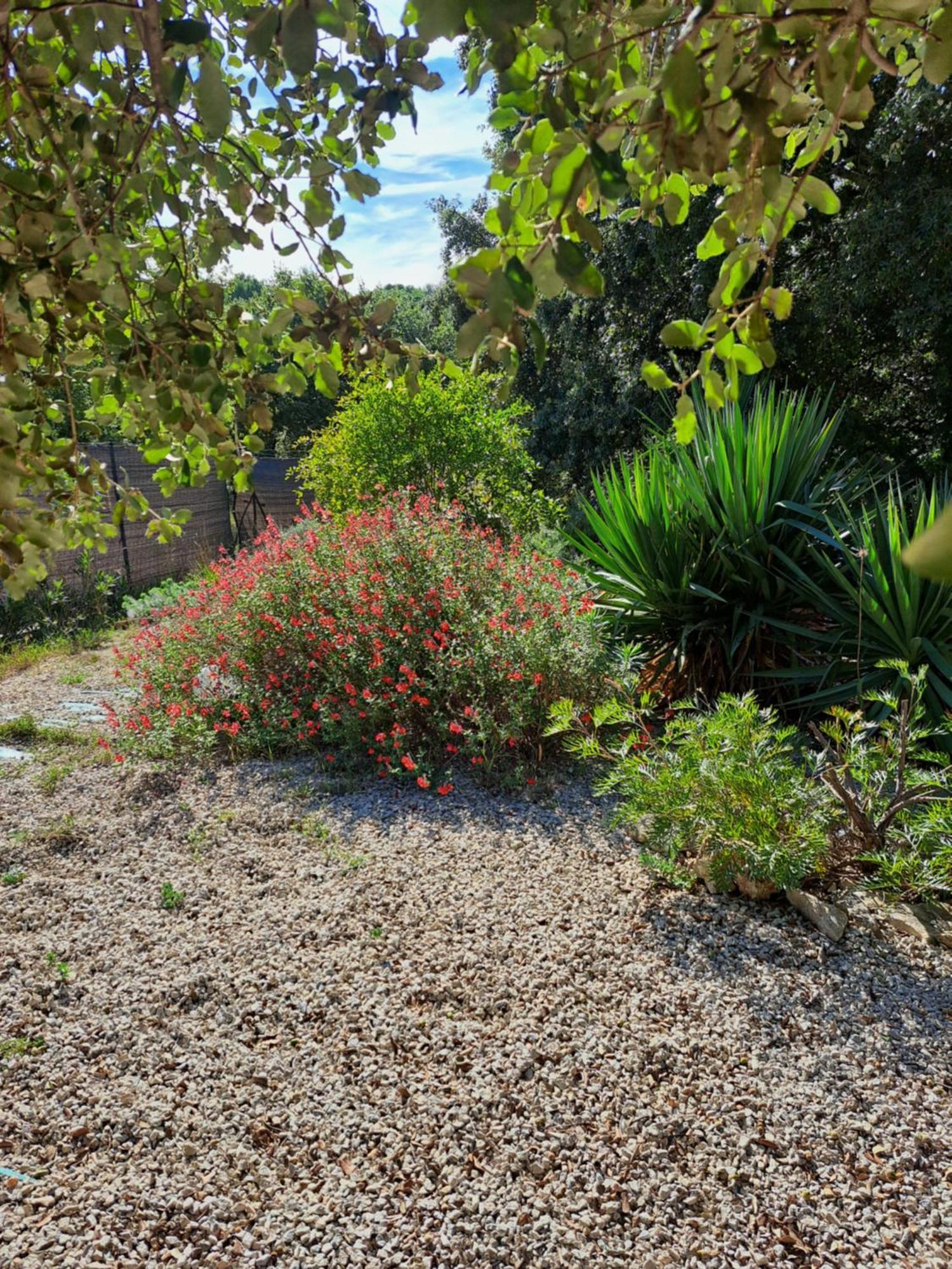 Le Calme De La Garrigue Bed and Breakfast Russan Eksteriør billede